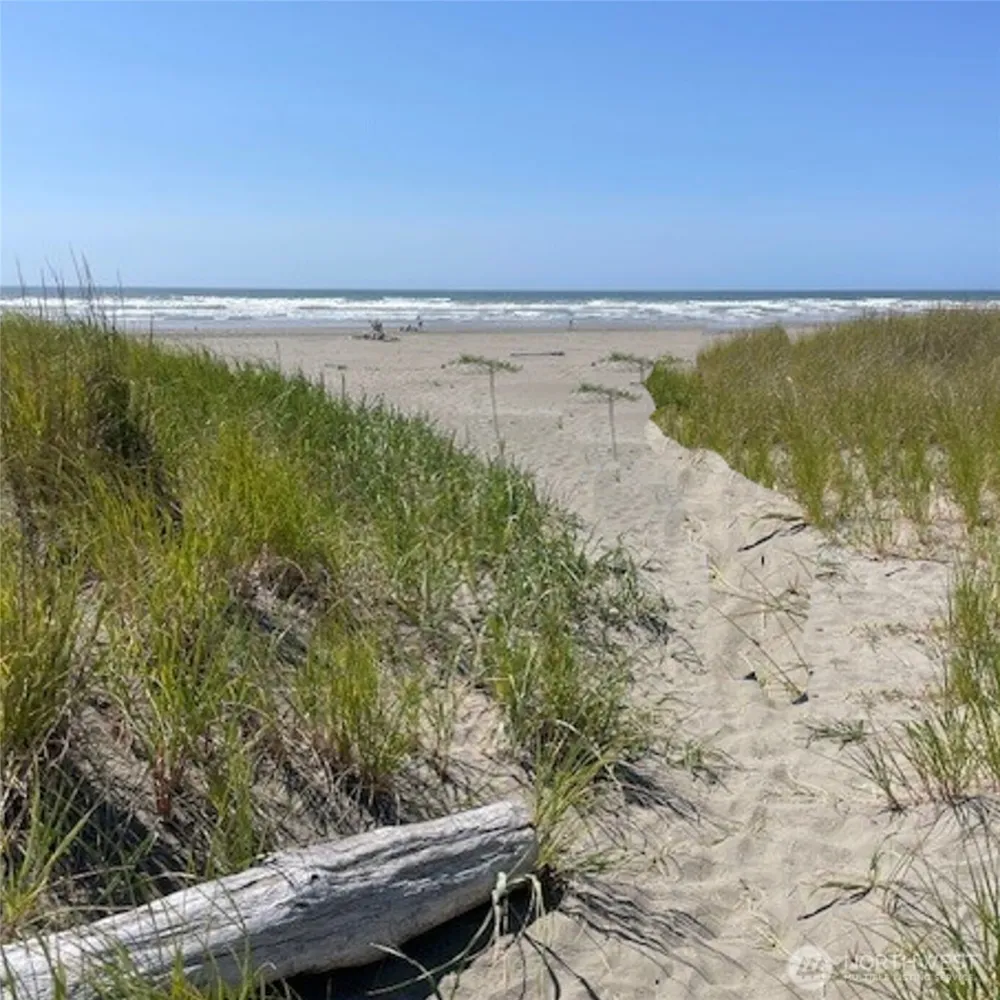 2 Dolphin Lane Copalis Beach, WA 98535