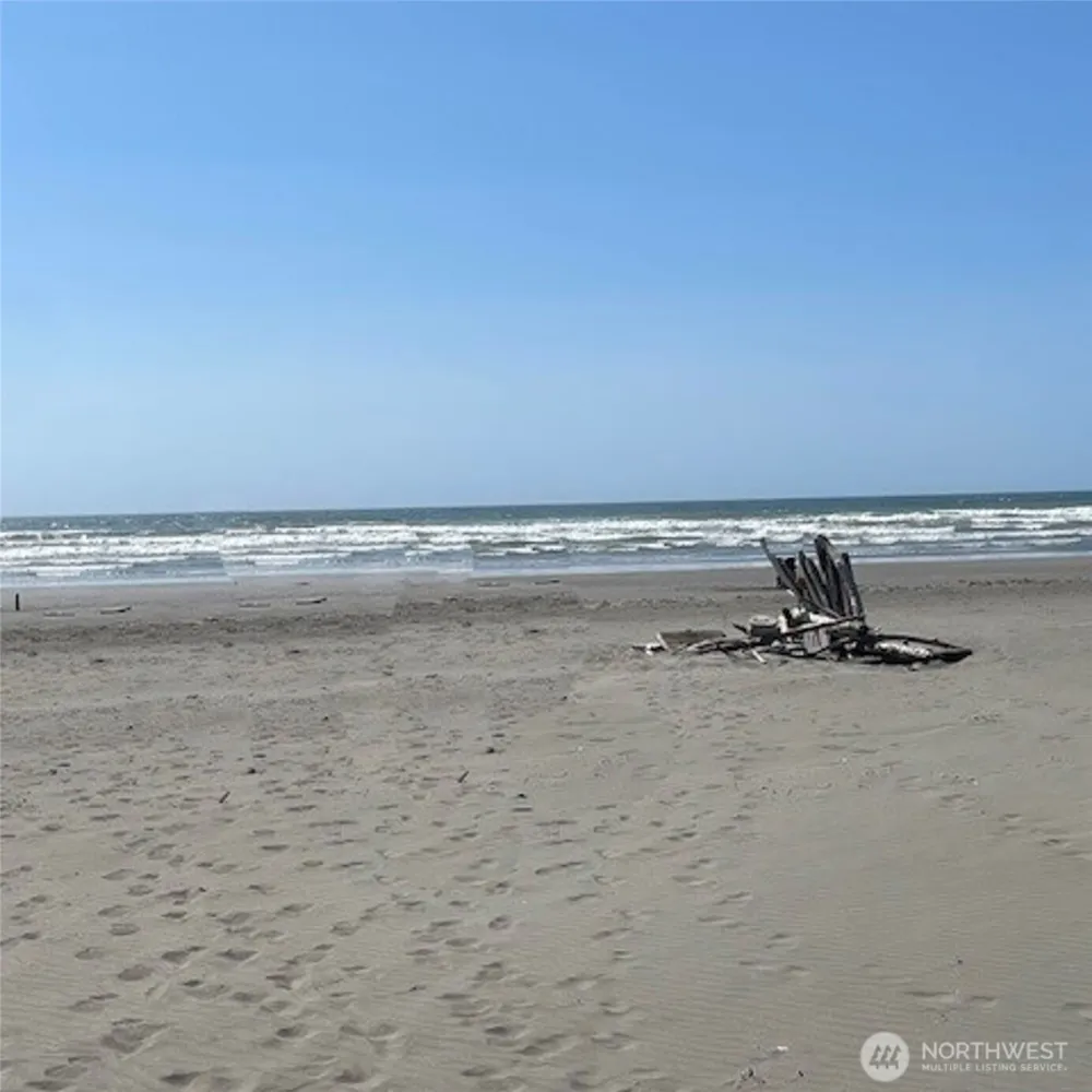 2 Dolphin Lane Copalis Beach, WA 98535