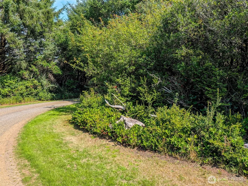 2 Dolphin Lane Copalis Beach, WA 98535