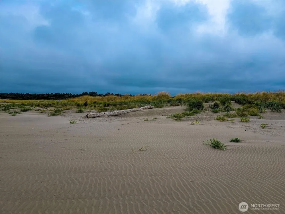 2 Dolphin Lane Copalis Beach, WA 98535