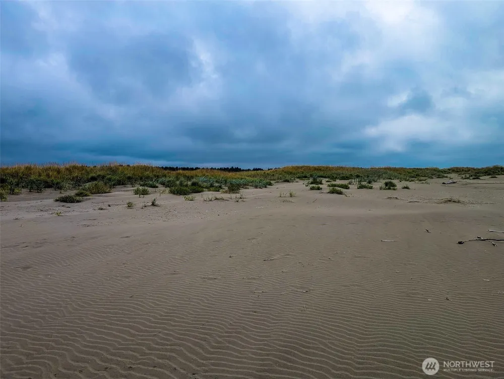 2 Dolphin Lane Copalis Beach, WA 98535