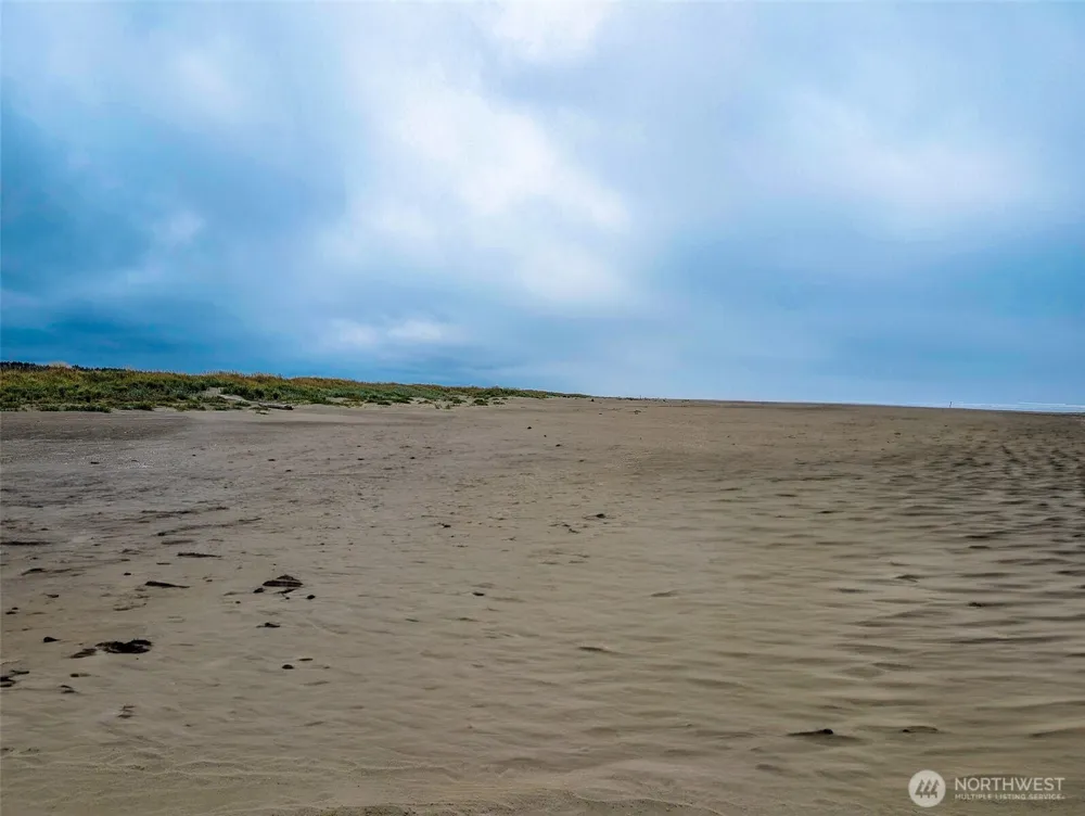2 Dolphin Lane Copalis Beach, WA 98535