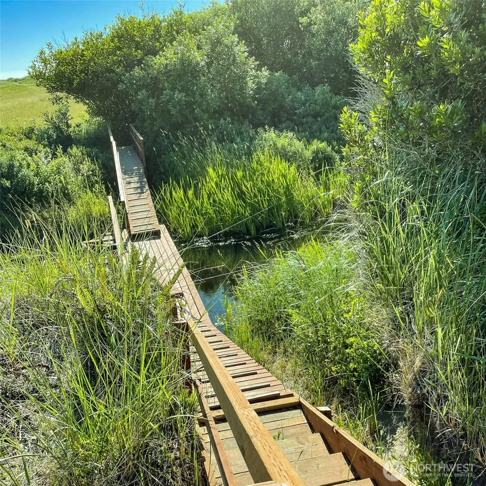 2 Dolphin Lane Copalis Beach, WA 98535