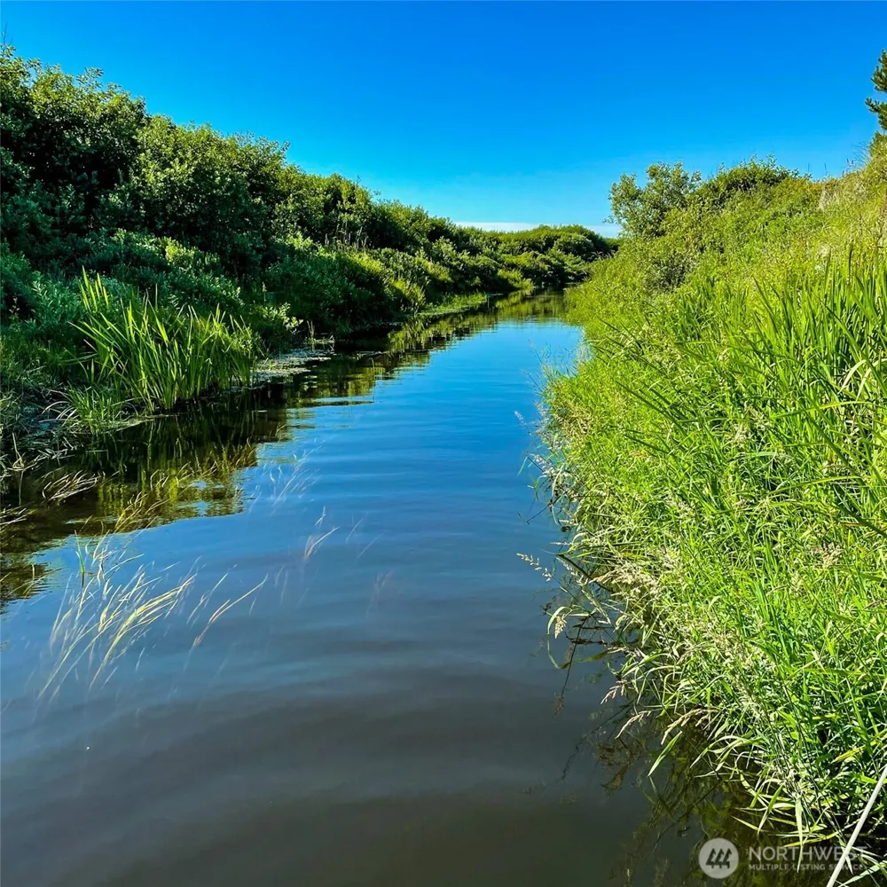 2 Dolphin Lane Copalis Beach, WA 98535