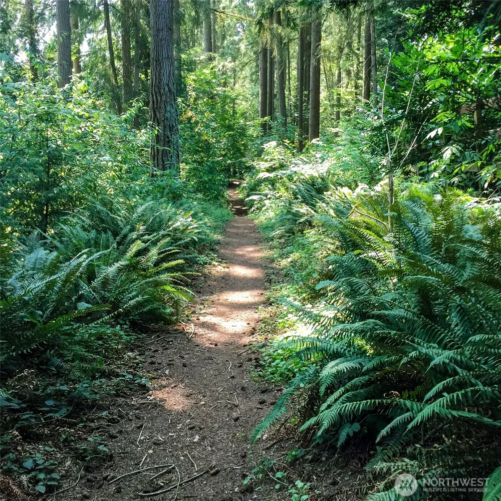 2 Dolphin Lane Copalis Beach, WA 98535