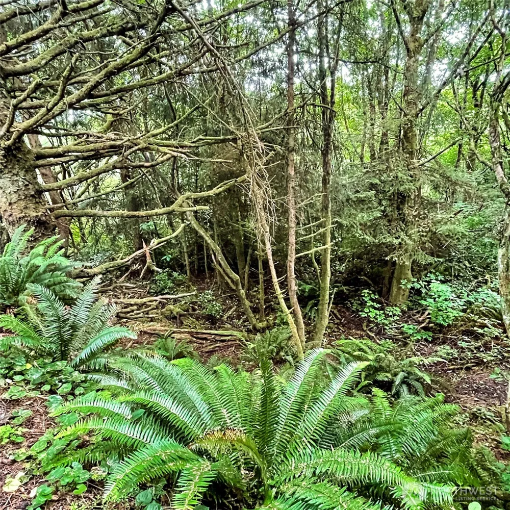 2 Dolphin Lane Copalis Beach, WA 98535