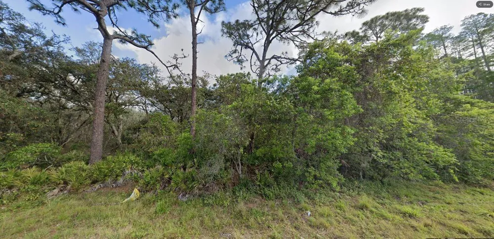 DEEN STILL ROAD Polk City, FL 33868