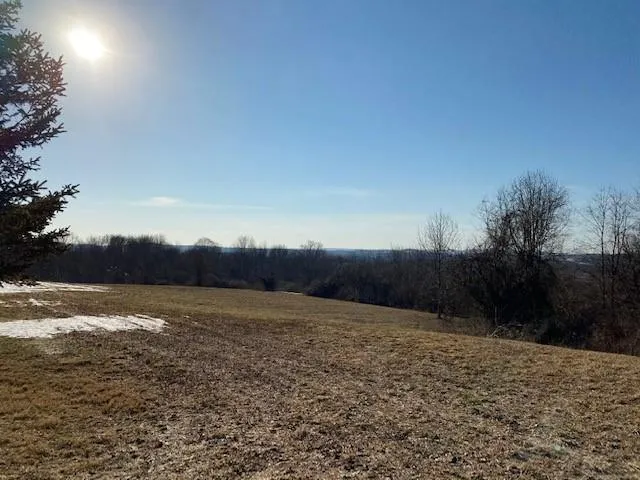 Lot 69.31 Liberty Corners Road Pine Island, NY 10969