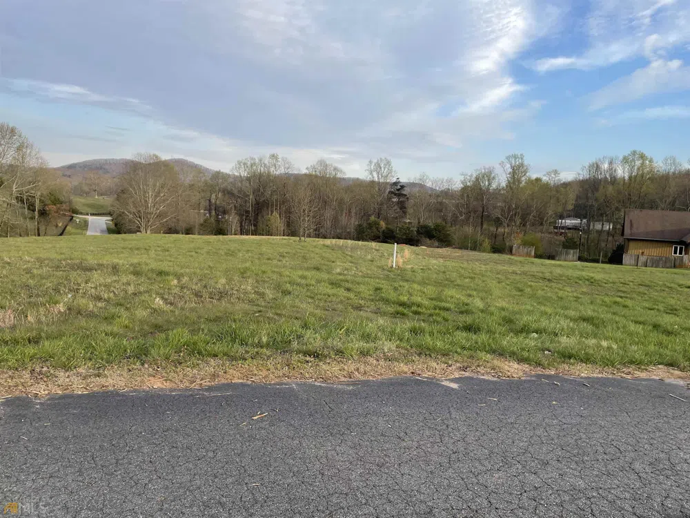 LOT 4 Whitehall Commercial Park RD Cleveland, GA 30528