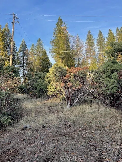 6172 Shad Way Pollock Pines, CA 95726