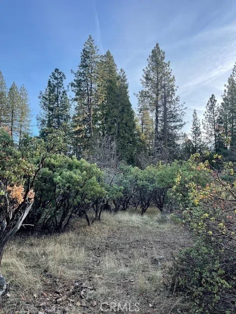 6172 Shad Way Pollock Pines, CA 95726