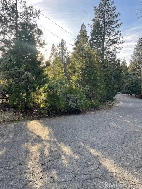 6172 Shad Way Pollock Pines, CA 95726
