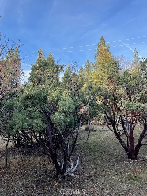 6172 Shad Way Pollock Pines, CA 95726