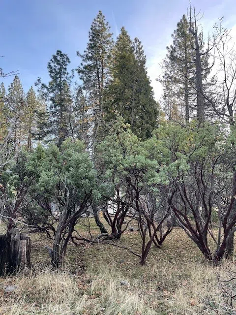 6172 Shad Way Pollock Pines, CA 95726