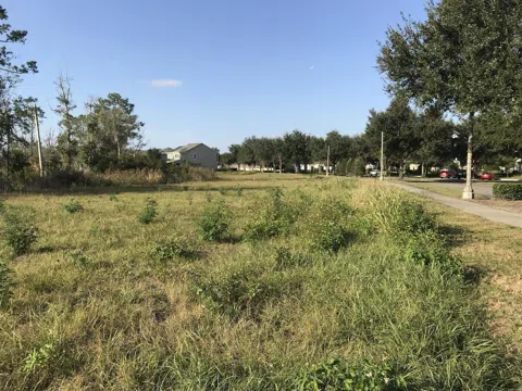 Parcel 1 - 607 OVIEDO BOULEVARD