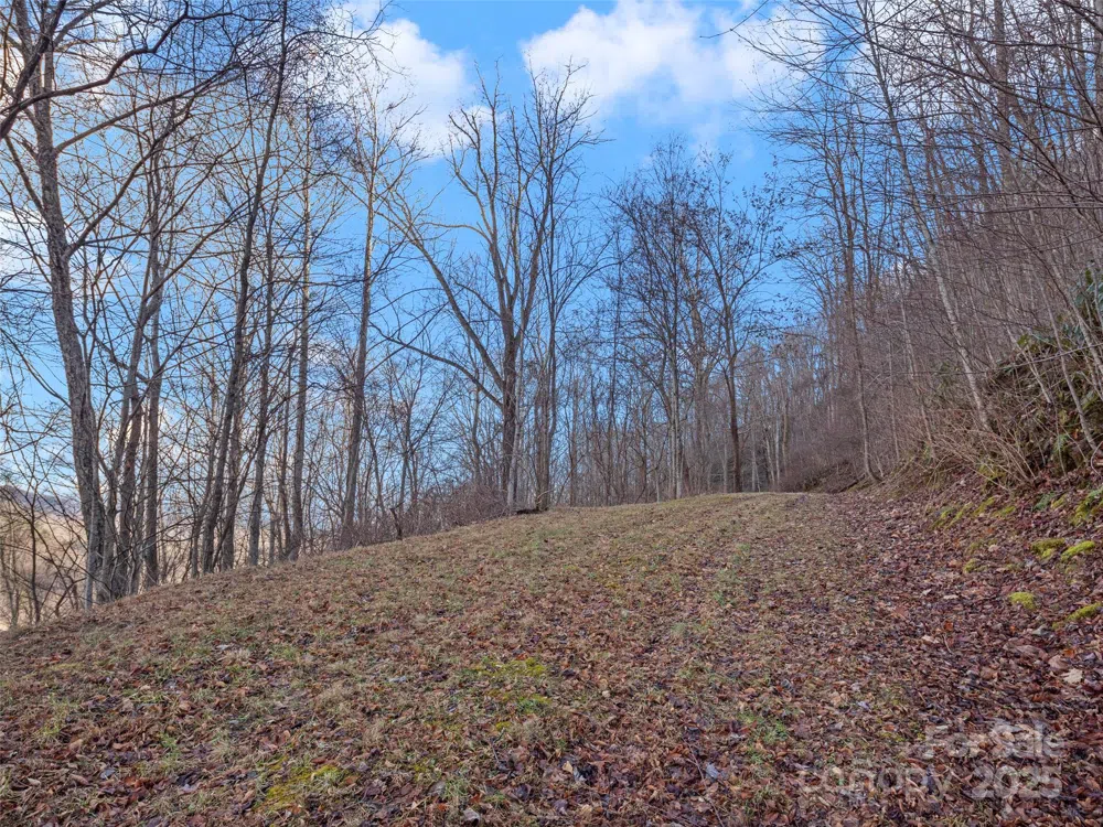 534 Kendal Drive #20 Leicester, NC 28748