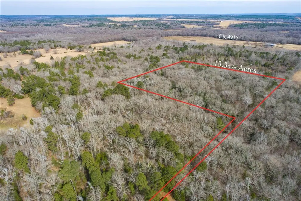County Road 4917 Ben Wheeler, TX 75754