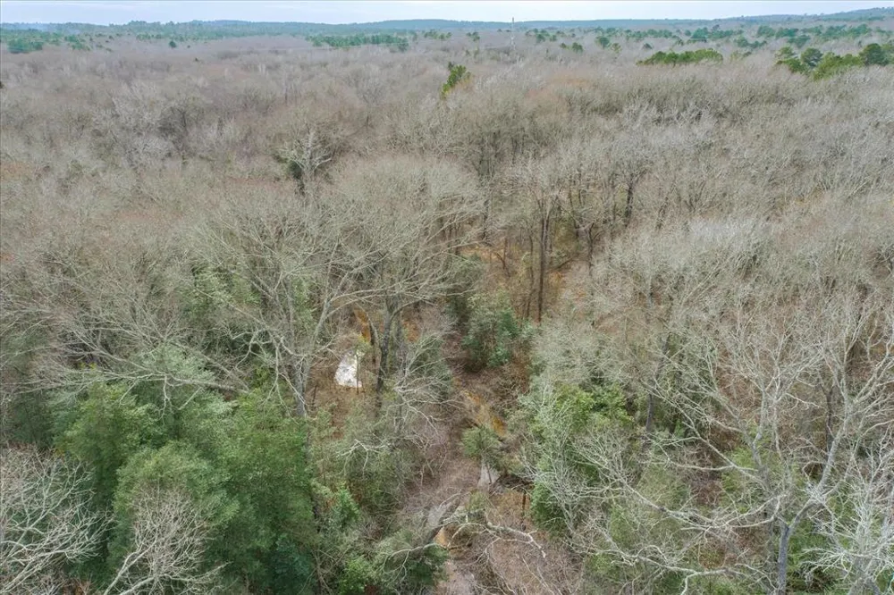 County Road 4917 Ben Wheeler, TX 75754