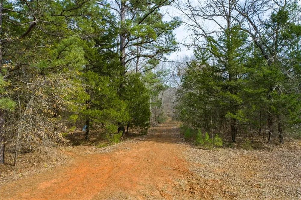 County Road 4917 Ben Wheeler, TX 75754