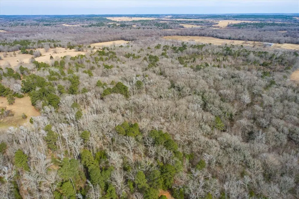 County Road 4917 Ben Wheeler, TX 75754