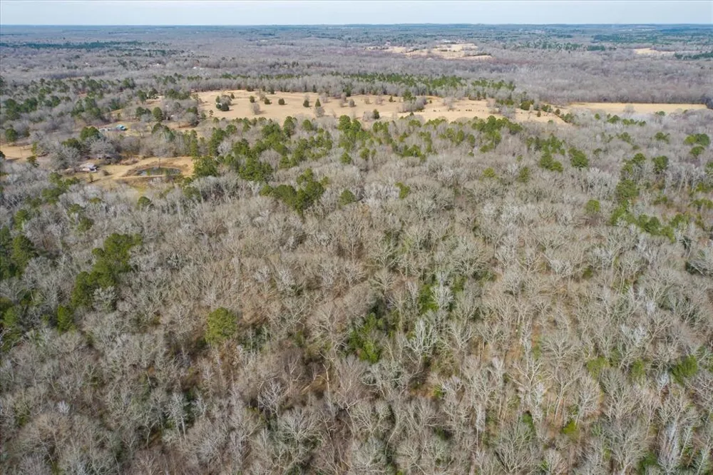 County Road 4917 Ben Wheeler, TX 75754