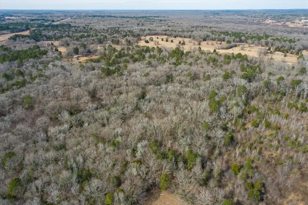 County Road 4917 Ben Wheeler, TX 75754