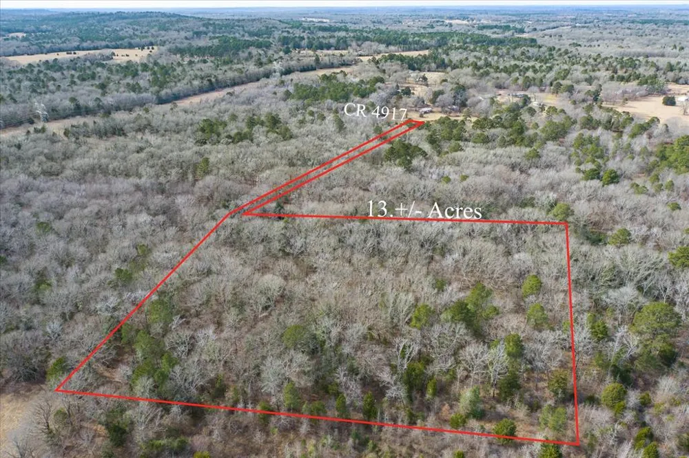 County Road 4917 Ben Wheeler, TX 75754