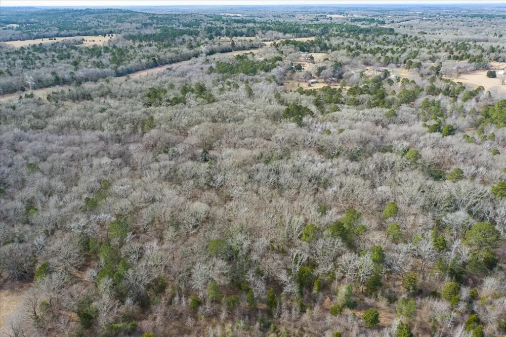 County Road 4917 Ben Wheeler, TX 75754