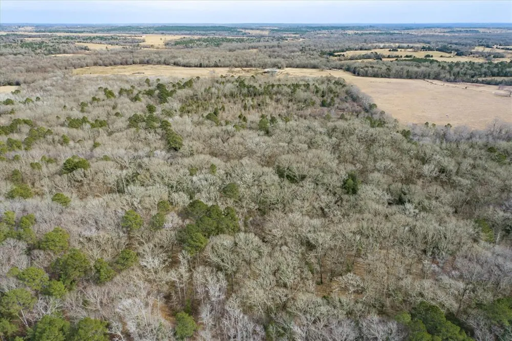 County Road 4917 Ben Wheeler, TX 75754