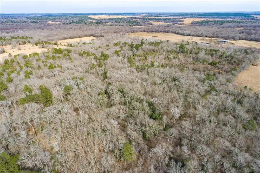 County Road 4917 Ben Wheeler, TX 75754