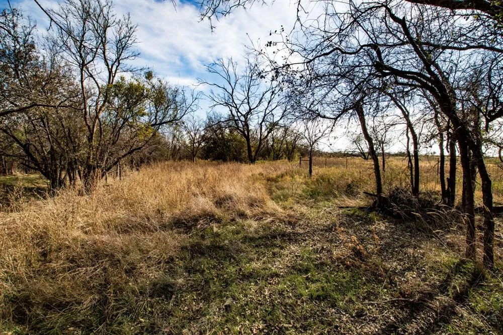 3108 County Road 125 Colorado City, TX 79512
