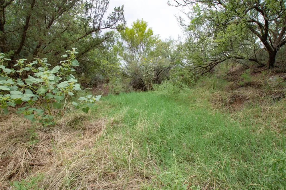 3108 County Road 125 Colorado City, TX 79512