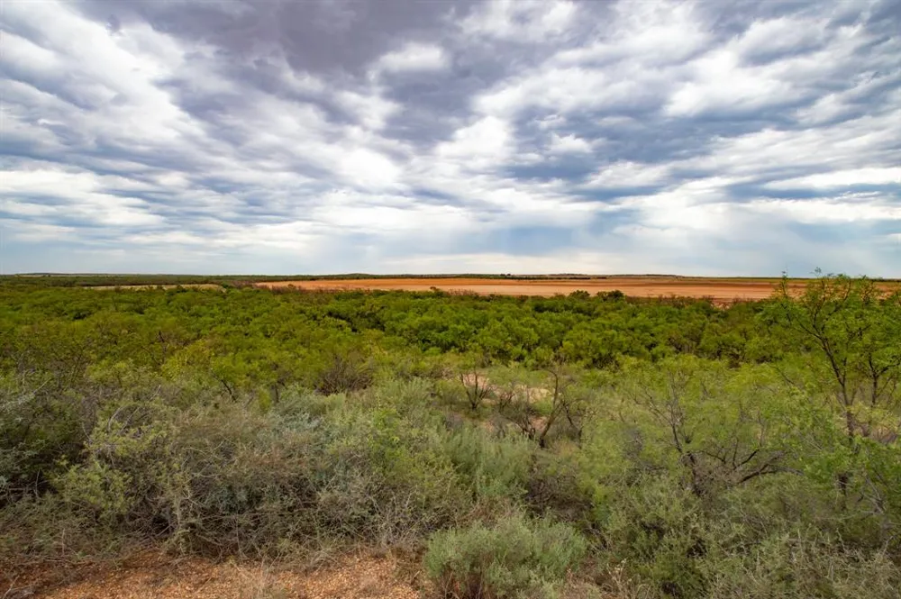 3108 County Road 125 Colorado City, TX 79512