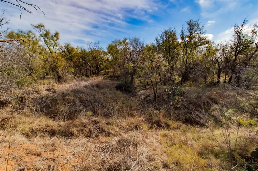 3108 County Road 125 Colorado City, TX 79512