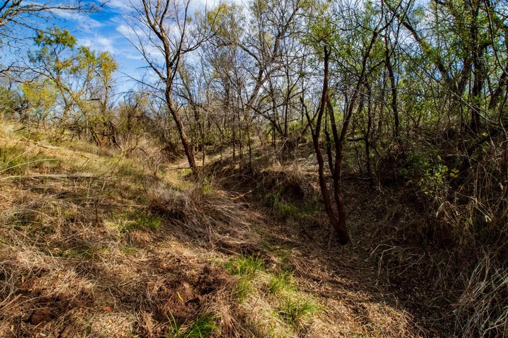 3108 County Road 125 Colorado City, TX 79512