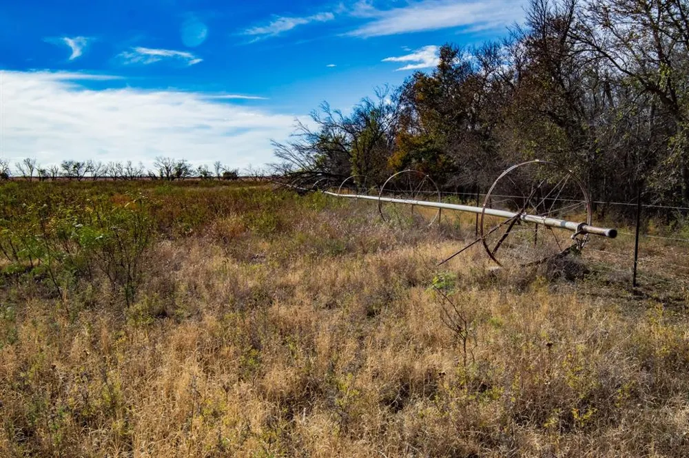 3108 County Road 125 Colorado City, TX 79512