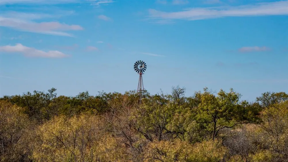 3108 County Road 125 Colorado City, TX 79512