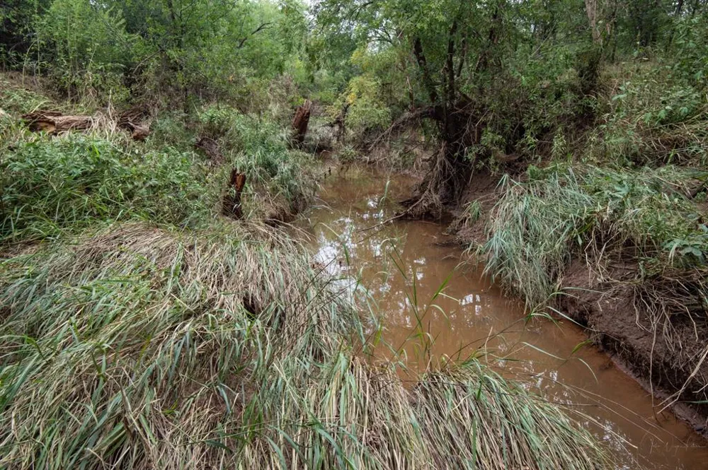 3108 County Road 125 Colorado City, TX 79512