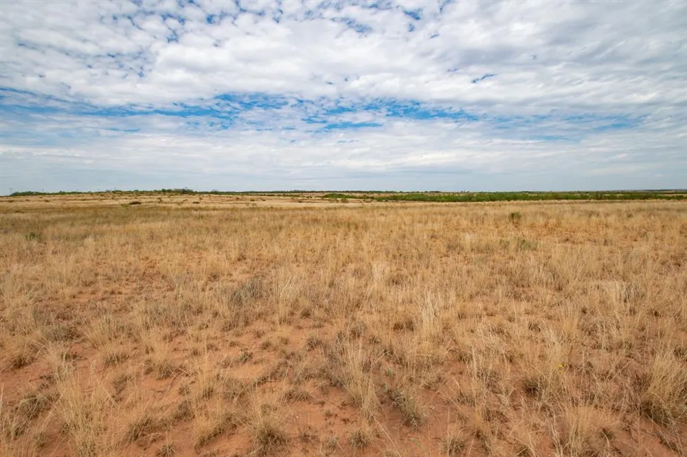 3108 County Road 125 Colorado City, TX 79512