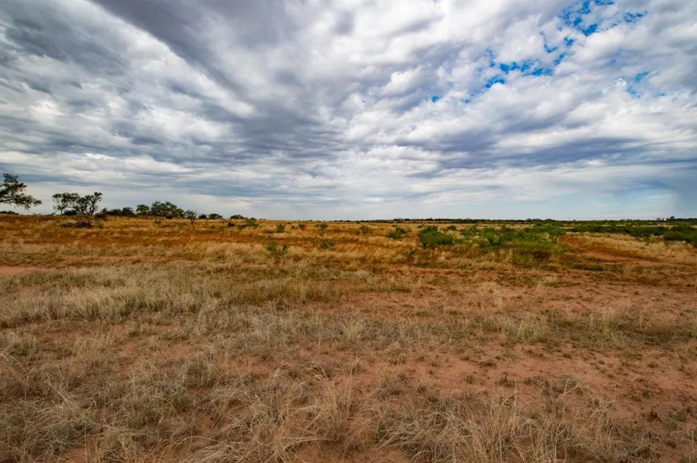3108 County Road 125 Colorado City, TX 79512