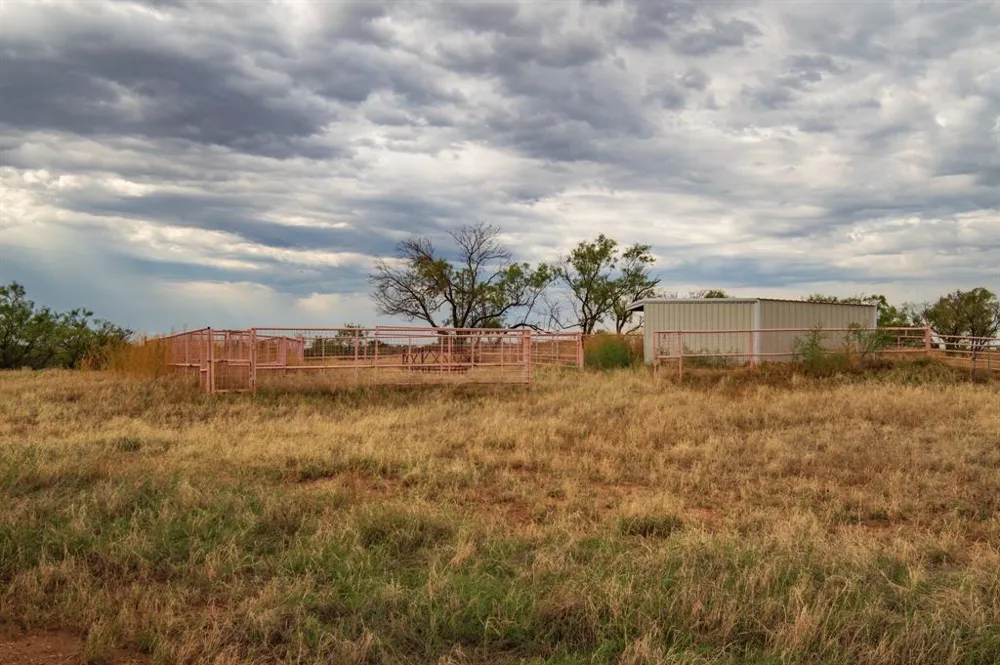 3108 County Road 125 Colorado City, TX 79512