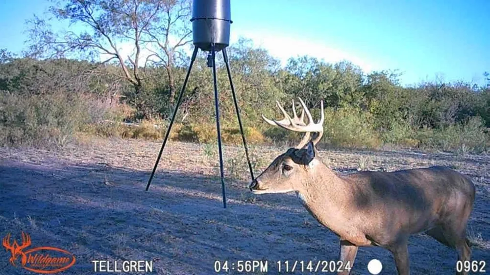 3108 County Road 125 Colorado City, TX 79512