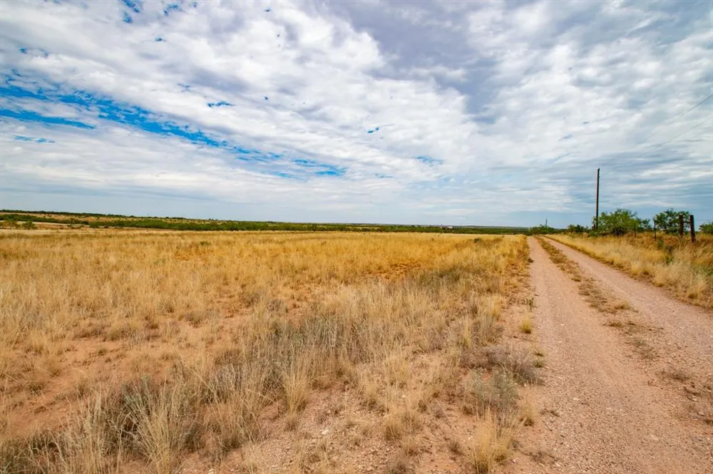 3108 County Road 125 Colorado City, TX 79512