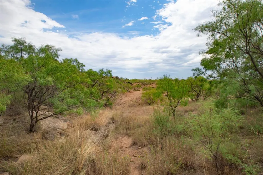 3108 County Road 125 Colorado City, TX 79512