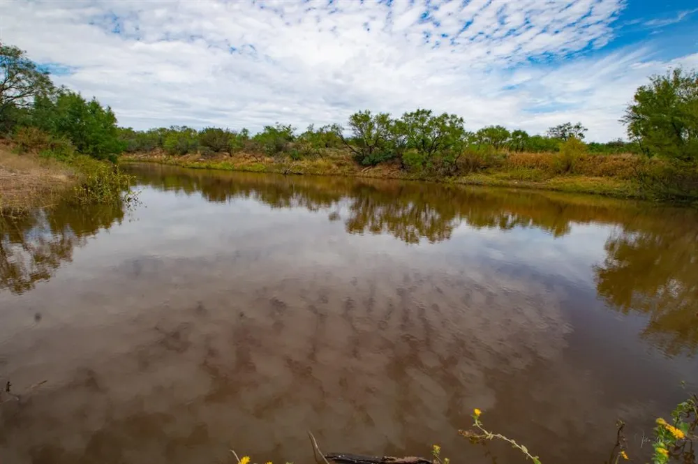 3108 County Road 125 Colorado City, TX 79512