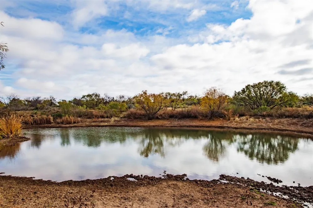 3108 County Road 125 Colorado City, TX 79512