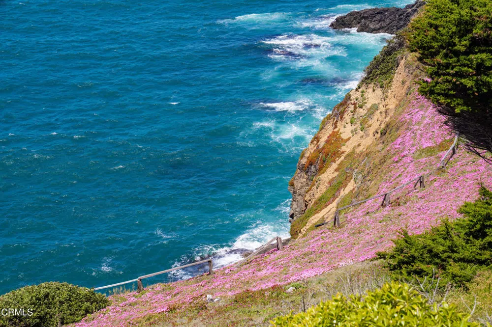 6030 Highway 1 Little River, CA 95456