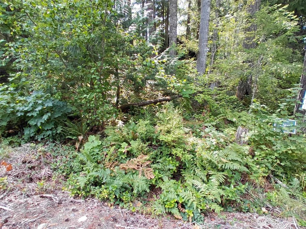 78 Fir Park Lane Packwood, WA 98361