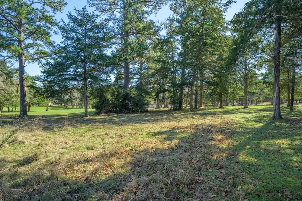 North Falls Dr New Ulm, TX 78950