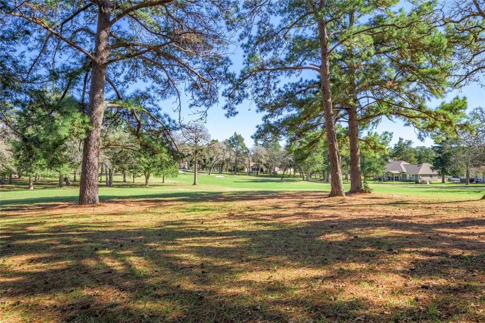North Falls Dr New Ulm, TX 78950